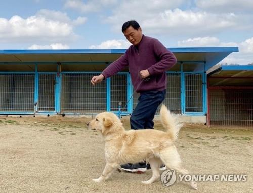 전주시내 동물 유기 매년 증가 …절반은 주인· 새 주인 찾아