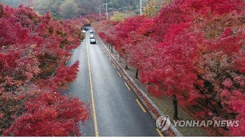 '천년 대구를 거닐다'…건축자원 연계한 관광콘텐츠 개발