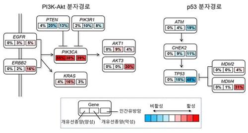 유방암 원인 밝혀줄 개의 유전자 변이 지도 첫 완성