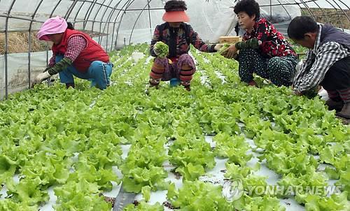 '로컬푸드 1번지' 완주, 플라스마 이용 농산물 저장 시스템 보급