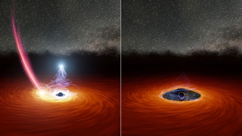 '블랙홀 코로나' 실종사건 제1용의자는 조석력으로 파괴된 별
