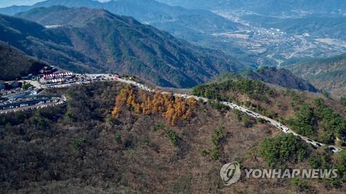 전남도, 서울-지리산 버스 노선허가 재검토 요구