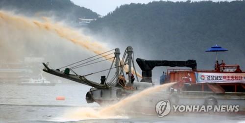 '검붉은 악몽' 한여름 불청객 적조…제발 무사히 지나가길