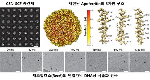 단백질 급랭시켜 3차원 구조 변화 실시간으로 본다