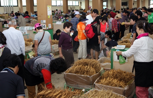 금산인삼 생산자 실명제 내달 시행…미표시 인삼 시장반입 제한