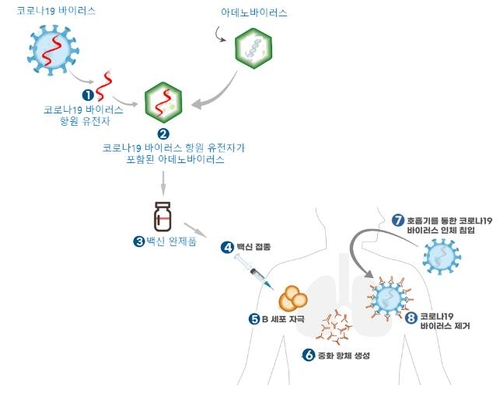 "국내 코로나19 치료제·백신 임상 13건"