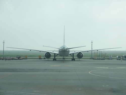 중국 상하이 푸둥공항 화물기 화재…공항 일시 폐쇄