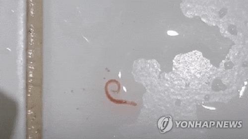 수돗물 유충 총 281건…"인천외 49건은 수돗물 아닌 외부요인"