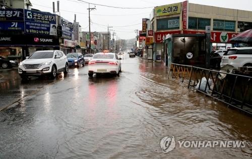 대전 충남 세종 호우경보 속 가로수 전도 등 피해 속출