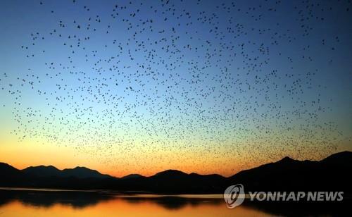 "낙동강 수계 습지 3곳 묶어서 생태관광 극대화해야"