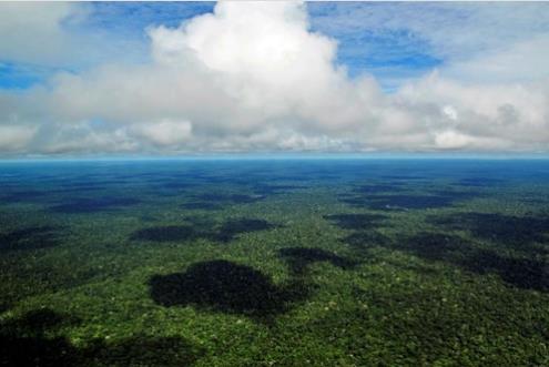 브라질 대통령 "아마존 넓어 산불단속 어렵다"며 원주민 탓