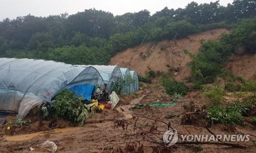 강원북부산지 사흘간 700㎜ 폭우…"80㎜ 이상 더 내려"