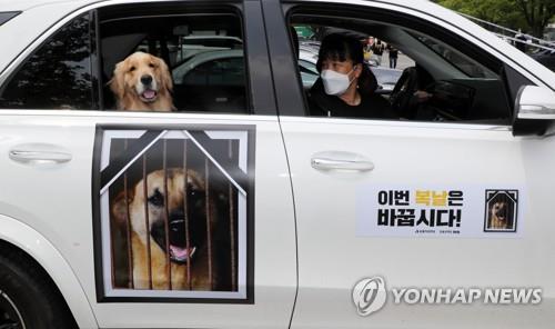 코로나가 만든 새로운 집회문화…"거리에서 온라인으로"