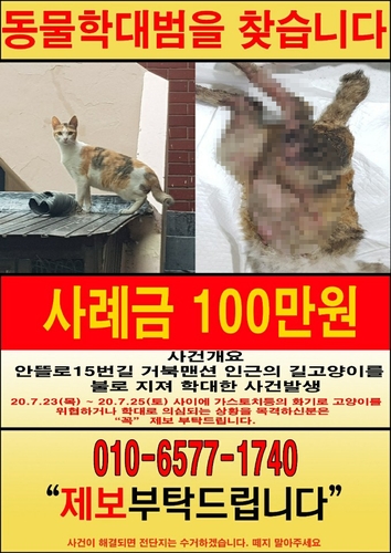 새끼 가진 고양이에게 토치로 몹쓸 짓…뱃속 새끼와 함께 숨져