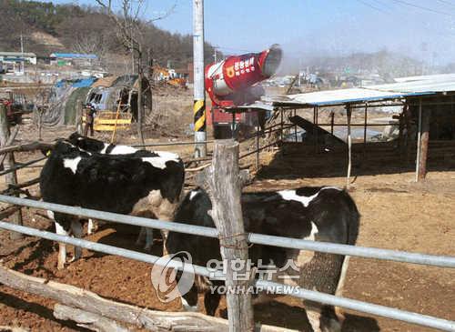 "규제 강화 전에"…옥천군 축사 신청 급증, 작년 9배