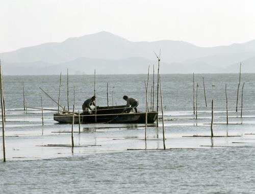 다시 불붙는 전남 해남-진도 마로해역 양식 분쟁