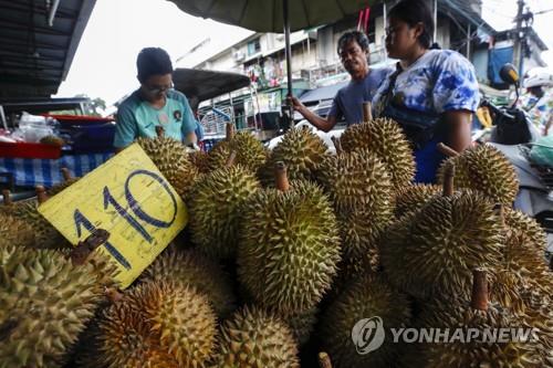 코로나 무색한 중국 내 태국산 두리안 인기…수출 78% 증가