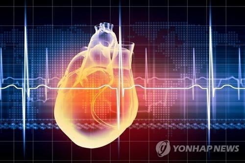 美 연구팀 "코로나19, 심장세포 직접 공격 확인"