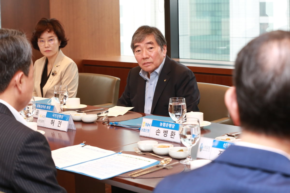 윤석헌 "연체우려 자영업자에 예방적 지원 필요"