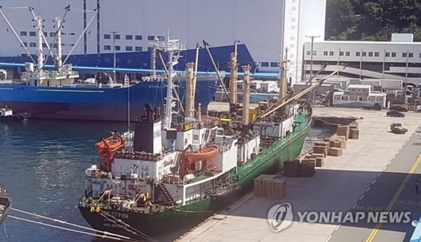 [속보] 부산항 입항 외국선박서 1명 확진…44명 선체 격리