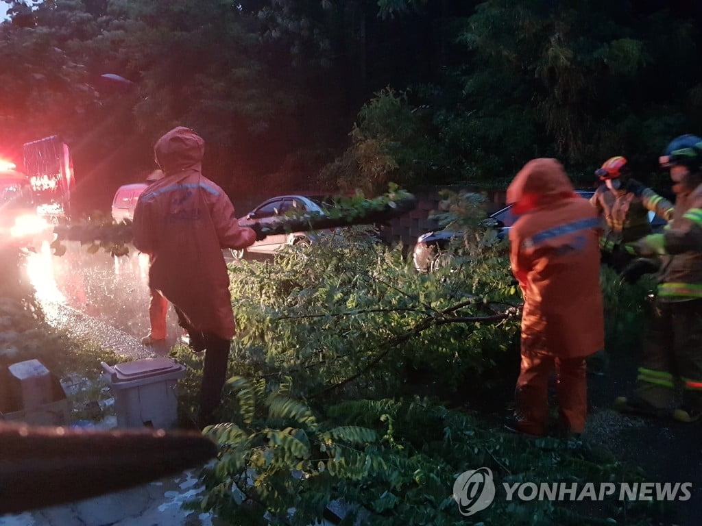 무너지고 쓰러지고…강풍 동반 물폭탄에 전국서 피해 속출