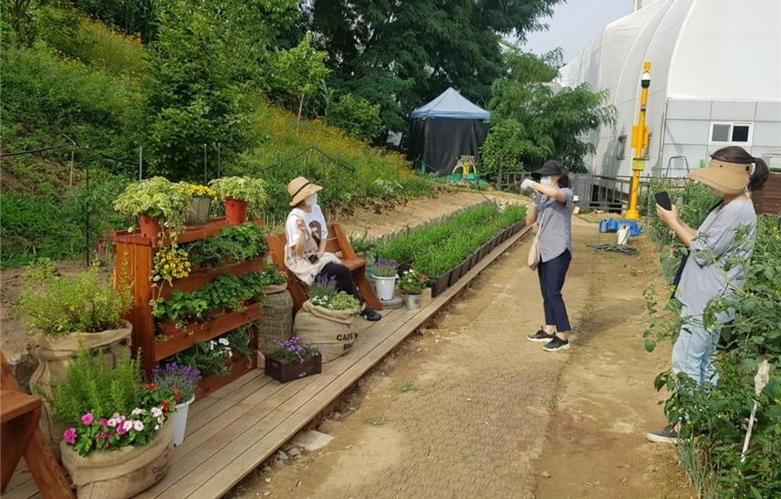 광진구, 광장동 도심 속 ‘텃밭 작은 전시장’ 조성