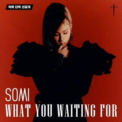 전소미, 틱톡서 'What You Waiting For' 일부 선공개 '히트 예감'