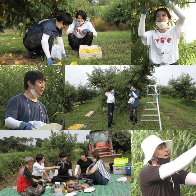 '나 혼자 산다' 예고 / 사진=MBC 제공