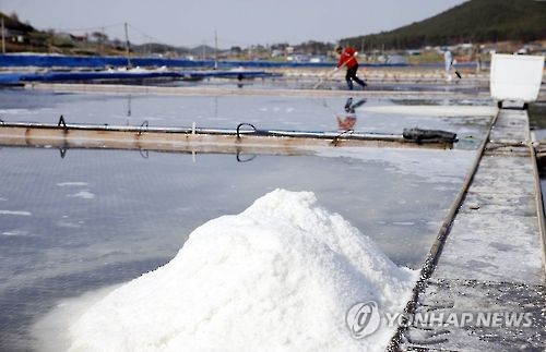 [알쏭달쏭 바다세상Ⅱ](23) 로마시대 군인들 봉급 '하얀 황금'