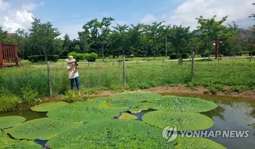 낙동강생태공원 사계절 풍경 담은 영상 공모전