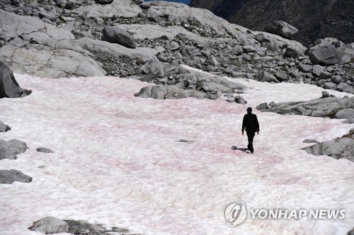 알프스 빙하가 분홍색?…이탈리아 과학계 "기후변화 현상"