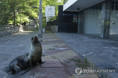 야생동물 차지 됐던 갈라파고스, 넉달 만에 관광지 재개장