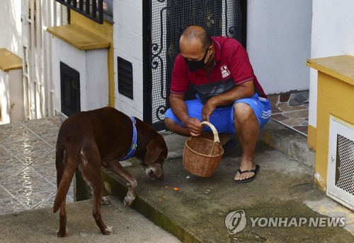 "멍멍! 배달왔어요"…코로나 속 콜롬비아 슈퍼마켓 배달돕는 개