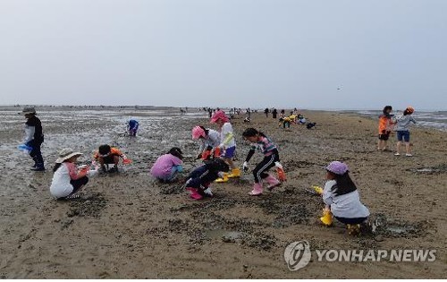 강원교육청, 올해 수학여행 등 현장체험학습 전면 취소