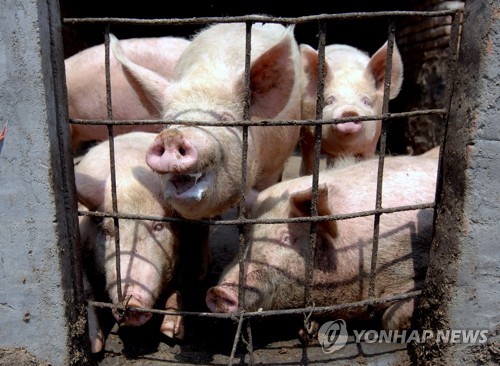 필리핀, 신종 돼지독감 대비 방역 강화