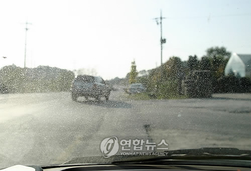 폐 괜찮다는데 수년간 '콜록'…시멘트 분진 영향 밝혔다