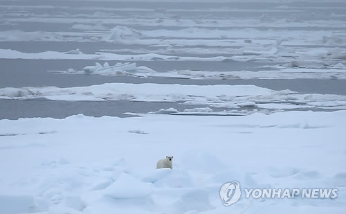 믿어도 되나…중 기업, 북극권 금광 인수에 캐나다 '시끌'