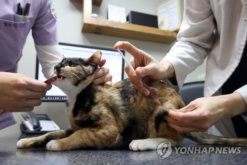 [펫·보·이] 보험료는 몸값 순이 아니잖아요