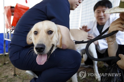 [펫·보·이] 보험료는 몸값 순이 아니잖아요