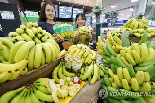 애플수박·바나나 등 제주산 여름 과일 쏟아져 나온다