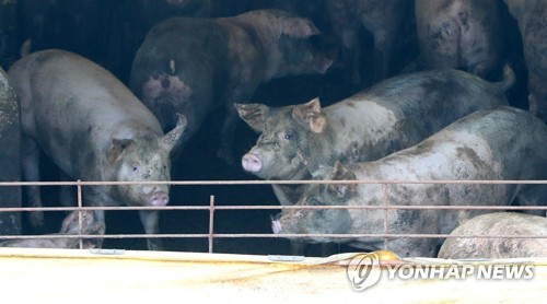 양구군 가축사육 제한구역 확대 위해 조례 개정 추진