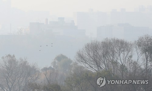 대구·경북 출근길 안개 가득…퇴근길은 곳곳 소나기