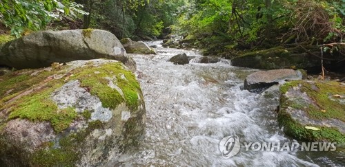 설악산사무소 여름철 불법행위 집중단속