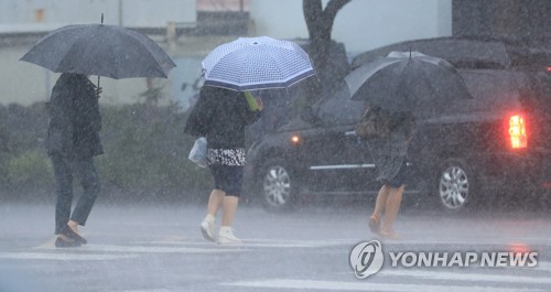 밤사이 100㎜↑ 폭우 쏟아진 제주, 또다시 시간당 20㎜ 비 예보