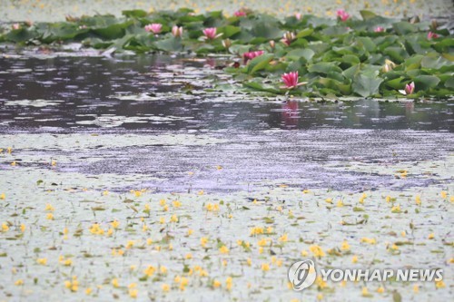 제주 곳에 따라 비…"산간도로 가시거리 짧아 유의"