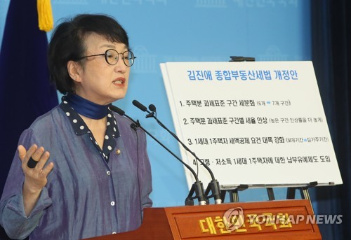 김진애 "종부세 과표구간 늘리고 세율인상" 법안 발의