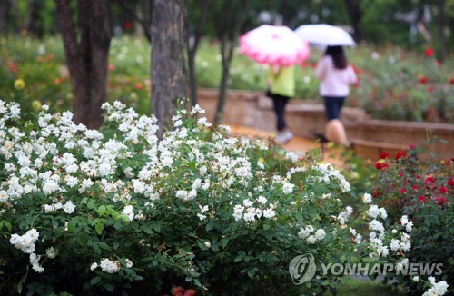 대구·경북 흐리고 오후까지 약한비…최대 30mm