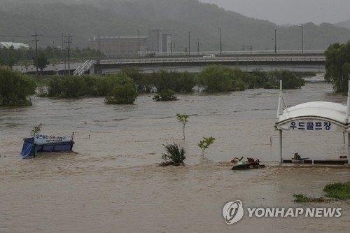 대전·세종·충남에 최고 191㎜ 비…가로수 쓰러지고 지반 침하(종합)