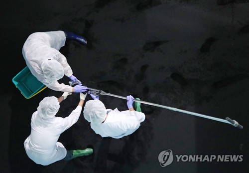 서울시, '수돗물 유충' 민관합동조사단 구성…정수 과정 조사