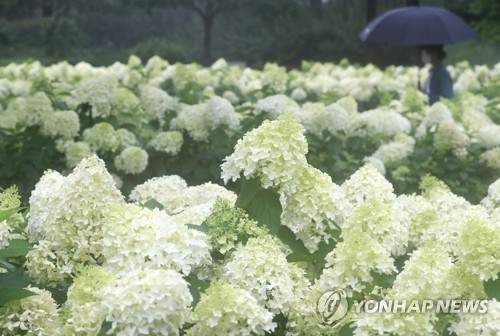 [내일날씨] 남부지방부터 비 소식…오후에 전국 확대